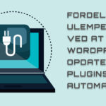 Fordele og ulemper ved at lade WordPress opdatere plugins automatisk